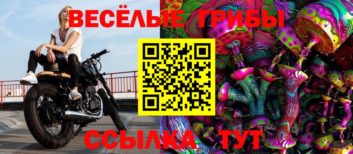 Псилоцибиновые грибы MAGIC MUSHROOMS Волжск