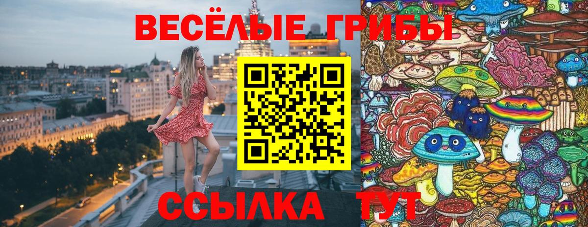Волжск  Галлюциногенные грибы Psilocybine cubensis  где продают наркотики  Псилоцибиновые грибы мухоморы  Вход с VPN 